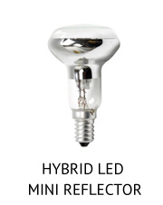 Hybrid & LED Filament Bulbs